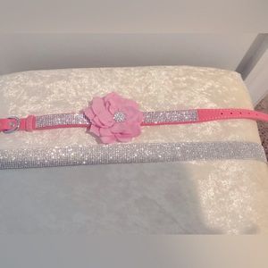 Beautiful dog collar for the pampered pet